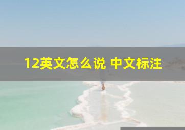 12英文怎么说 中文标注